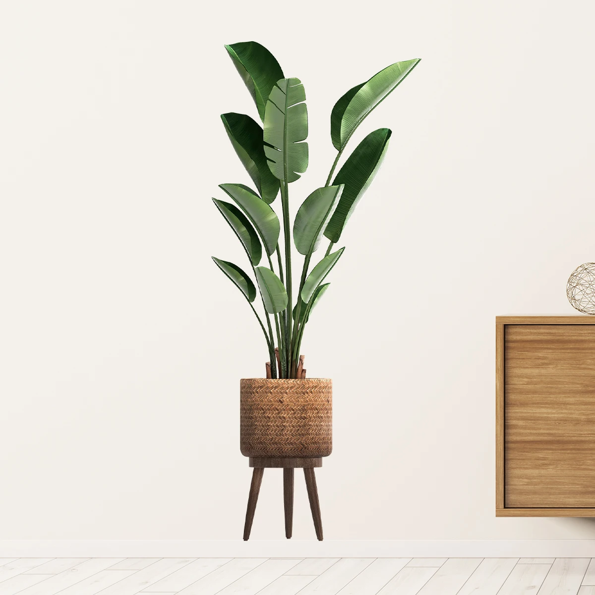 Tanaman hijau hias, stiker din - Home Office Word ulasan dan harga