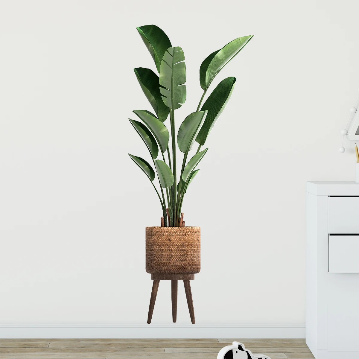 Tanaman hijau hias, stiker din - Home Office Word ulasan dan harga