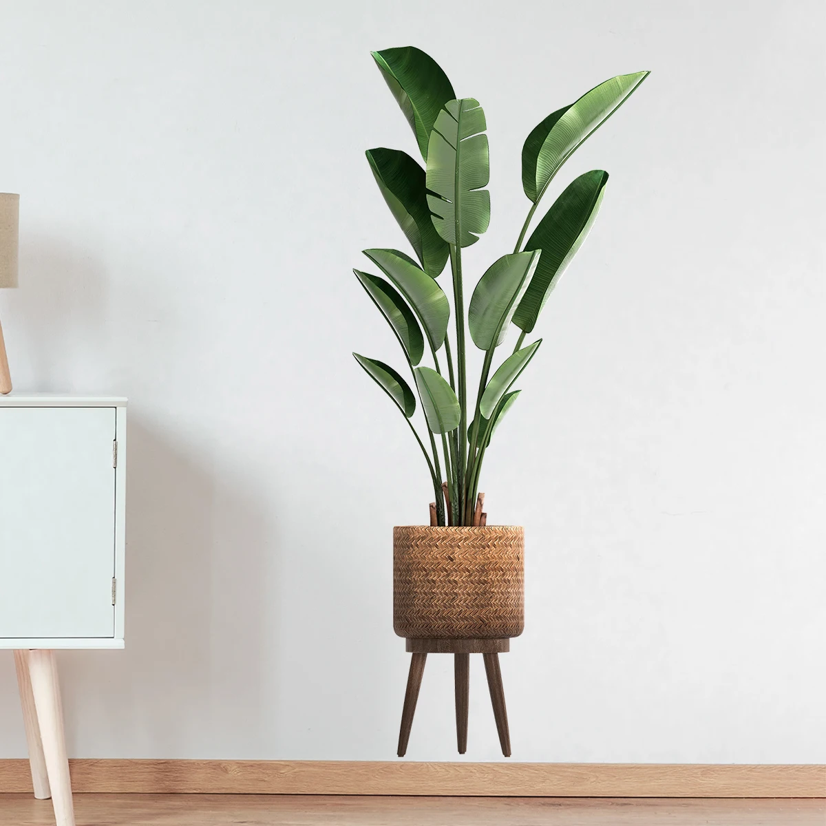 Tanaman hijau hias, stiker din - Home Office Word ulasan dan harga