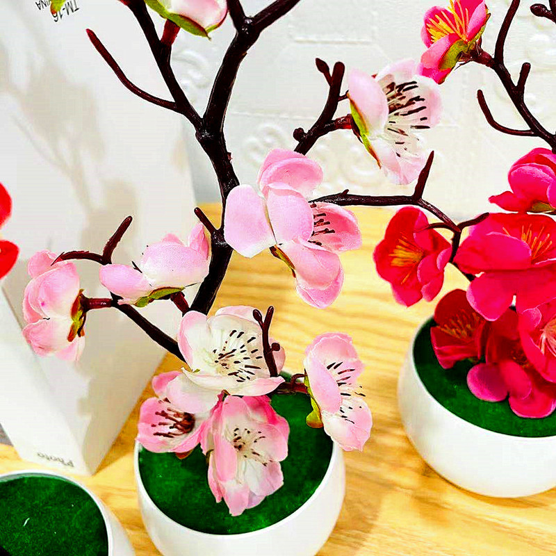 Simulasi Pot Bunga Plum Tanama - Home Office Word ulasan dan harga