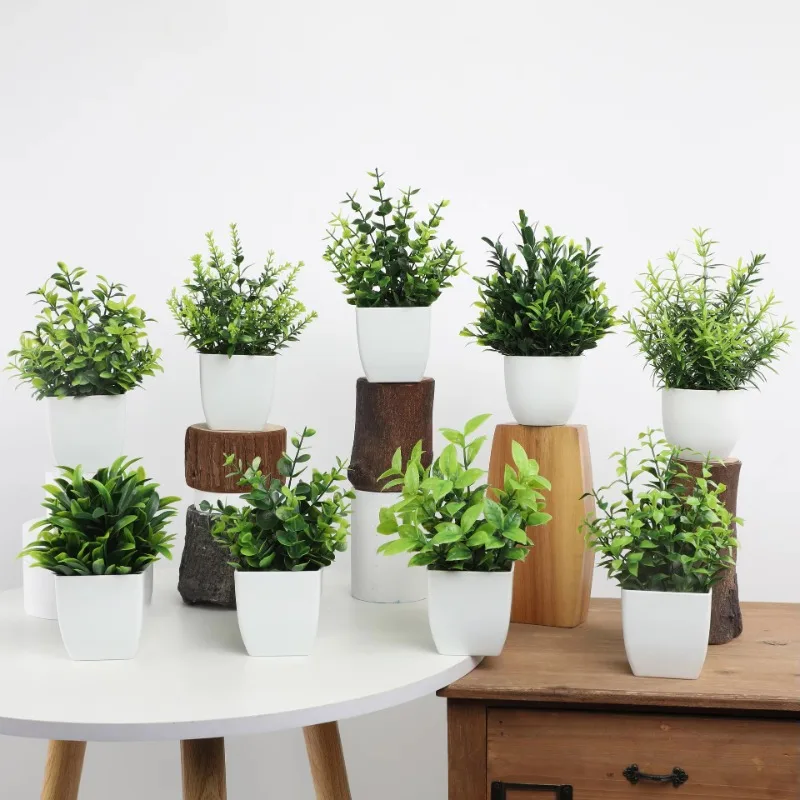 Grosir OEM/ODM tanaman pot Min - Home Office Word ulasan dan harga