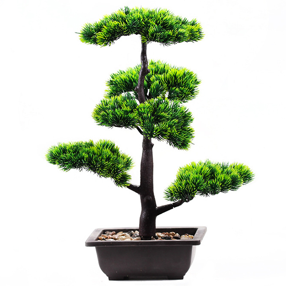 Tanaman Buatan Pinus Kecantika - Home Office Word ulasan dan harga