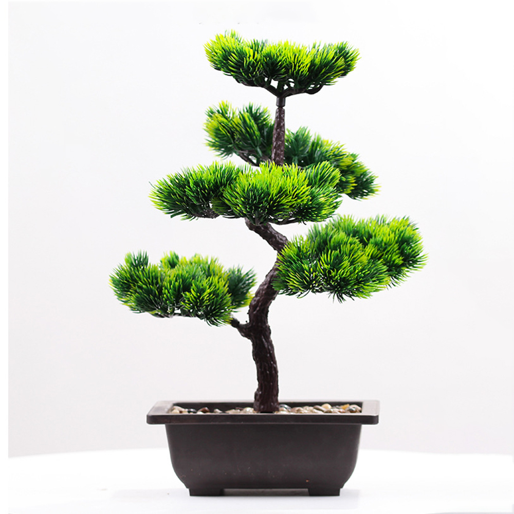 Tanaman Buatan Pinus Kecantika - Home Office Word ulasan dan harga