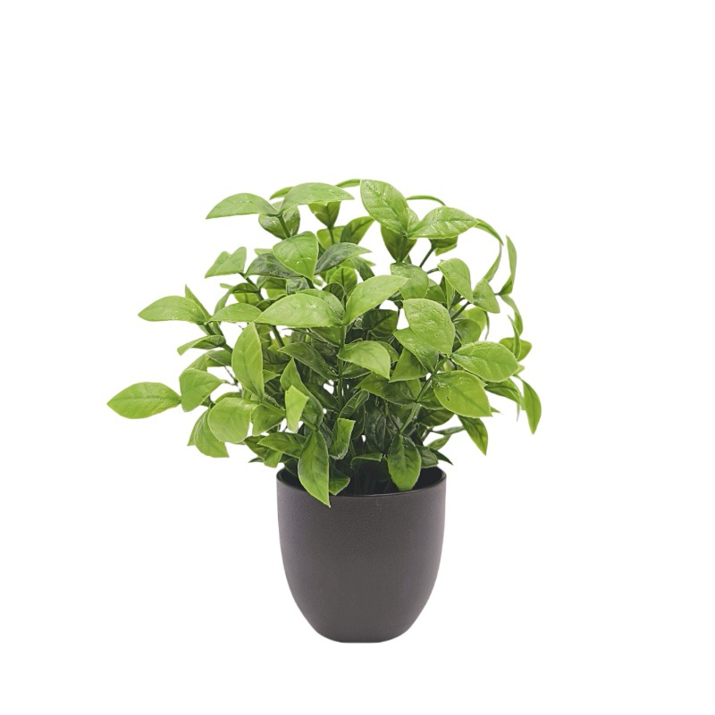 Bonsai Tanaman Hijau Simulasi, - Home Office Word ulasan dan harga